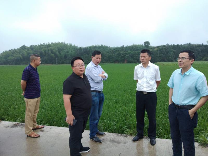 湖南省溆浦县张伟副县长一行考察建宁县国家级杂交水稻制种基地
