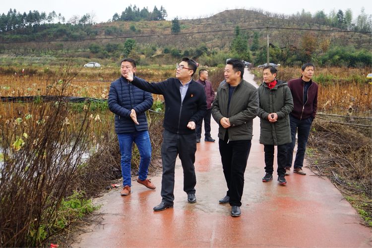 建宁县委书记郑剑波深入里心镇督查指导乡村振兴和防寒抗冻工作