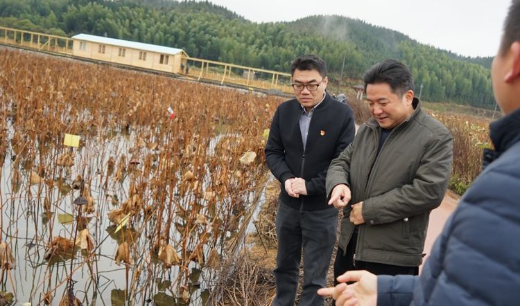 建宁县委书记郑剑波深入里心镇督查指导乡村振兴和防寒抗冻工作